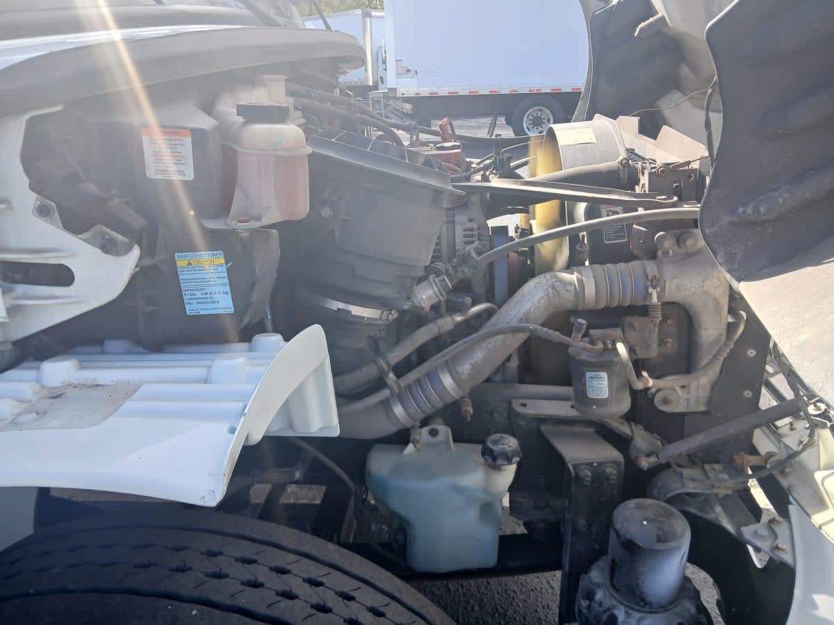 2019 Freightliner/Mercedes M2 106 870921