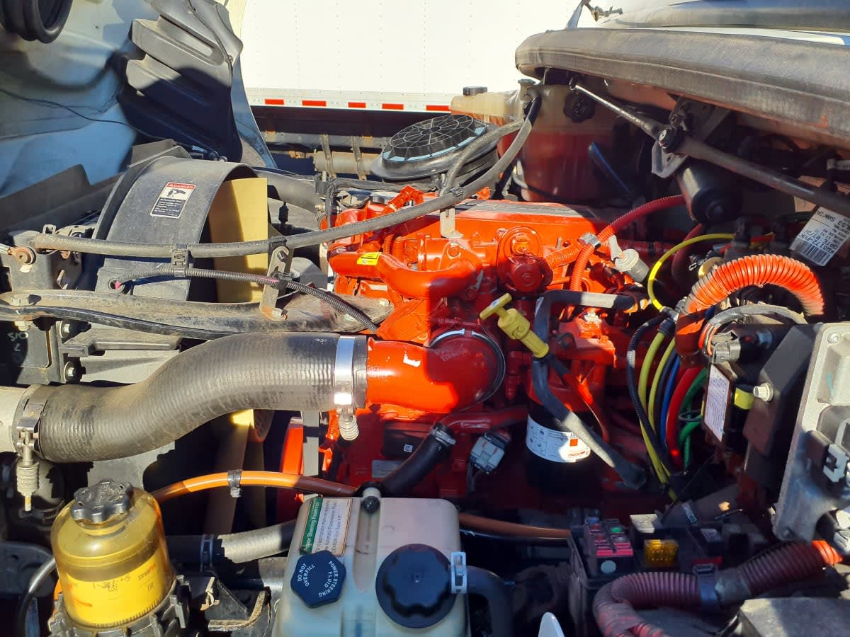 2019 Freightliner/Mercedes M2 106 870936