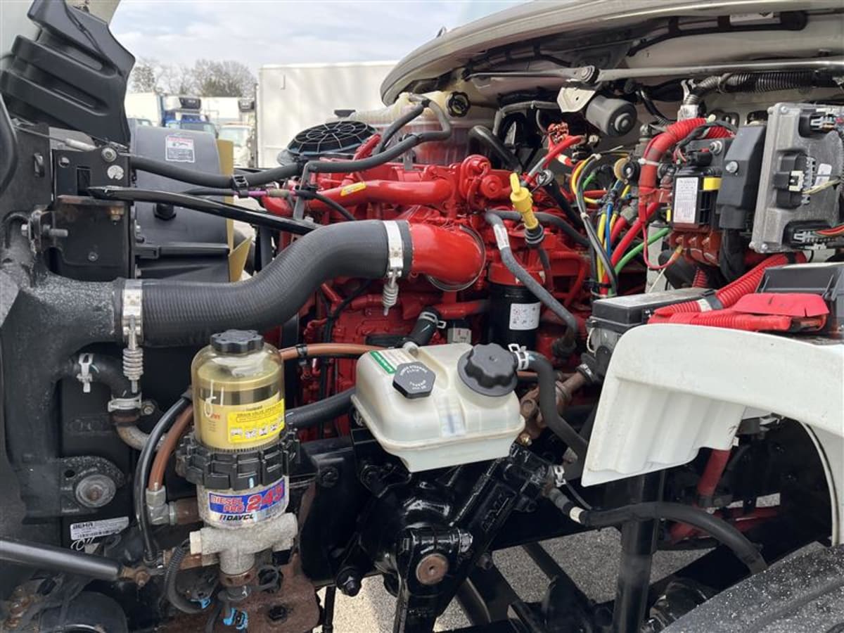 2019 Freightliner/Mercedes M2 106 870968