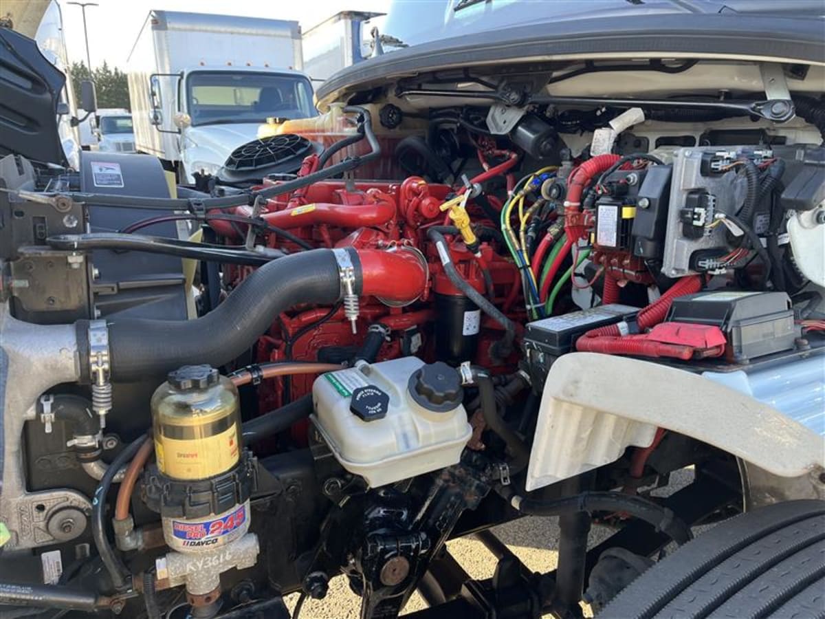 2019 Freightliner/Mercedes M2 106 870971