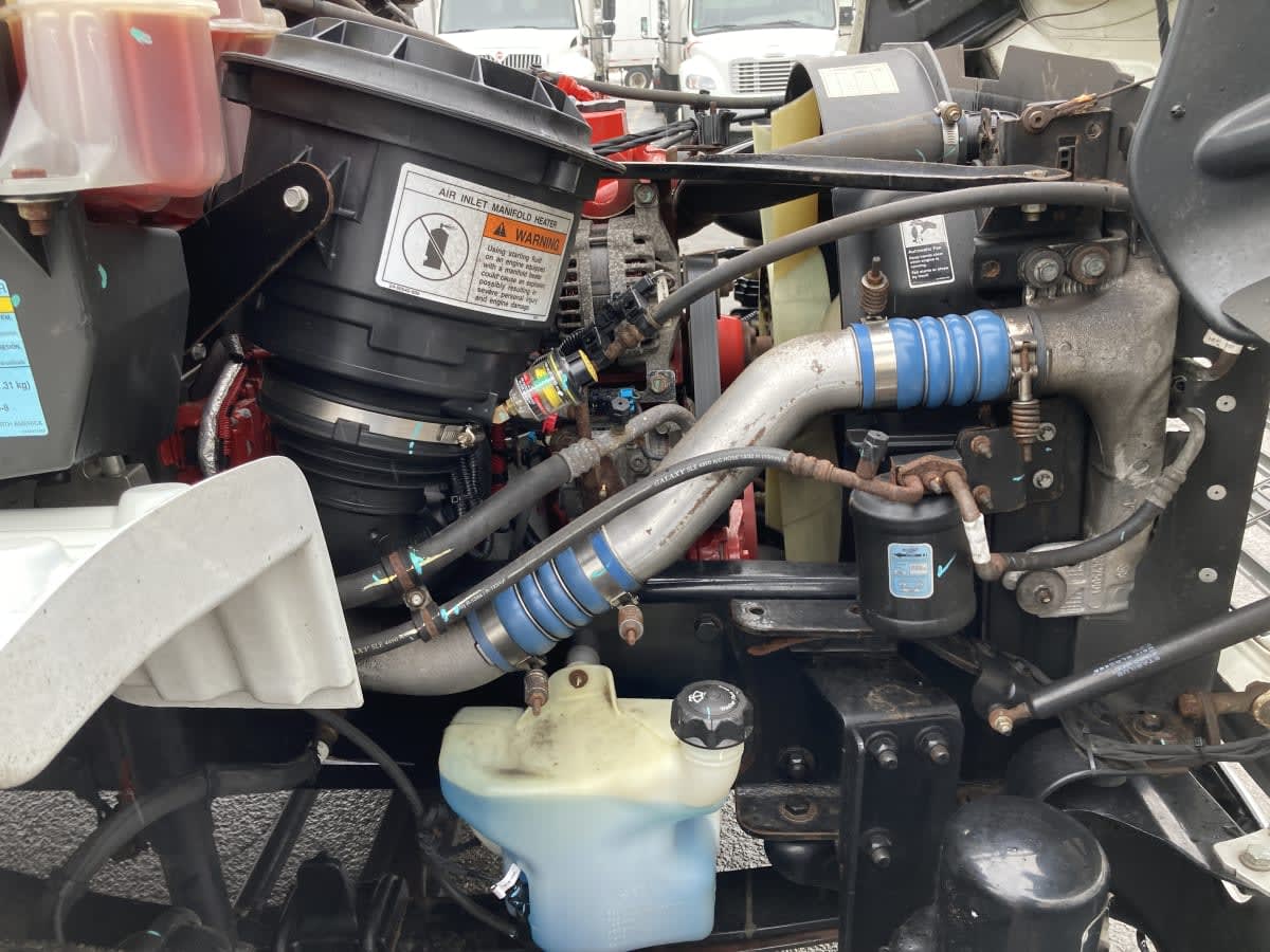 2019 Freightliner/Mercedes M2 106 871005