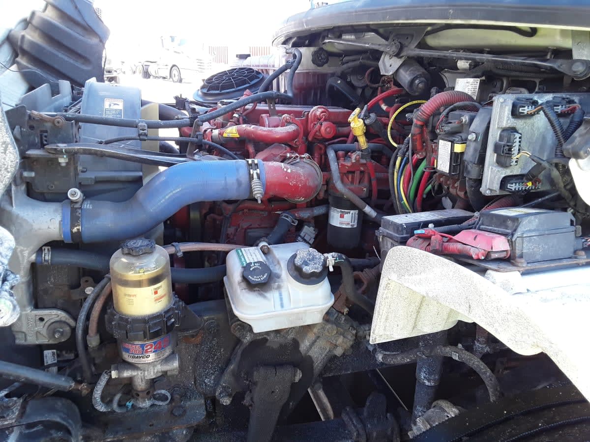 2019 Freightliner/Mercedes M2 106 871017