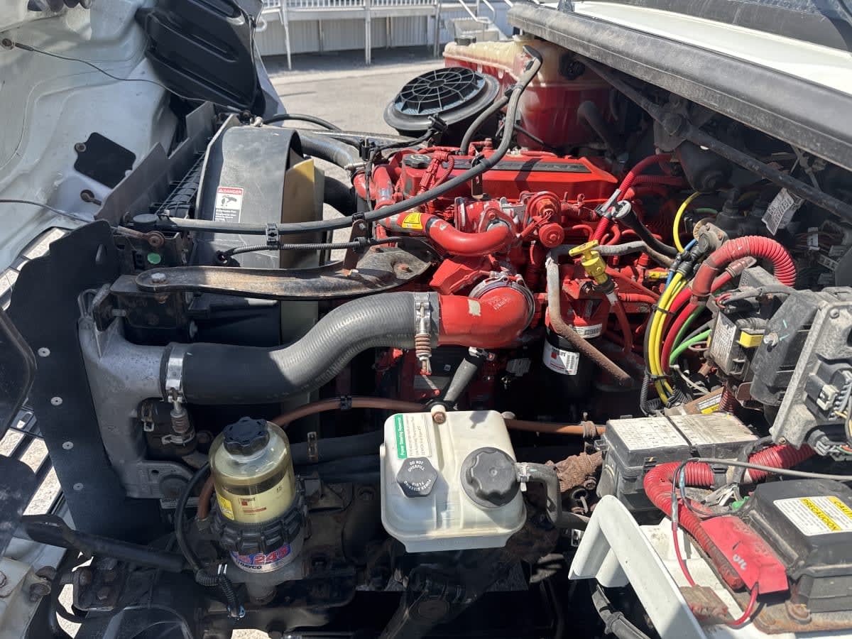 2019 Freightliner/Mercedes M2 106 871067
