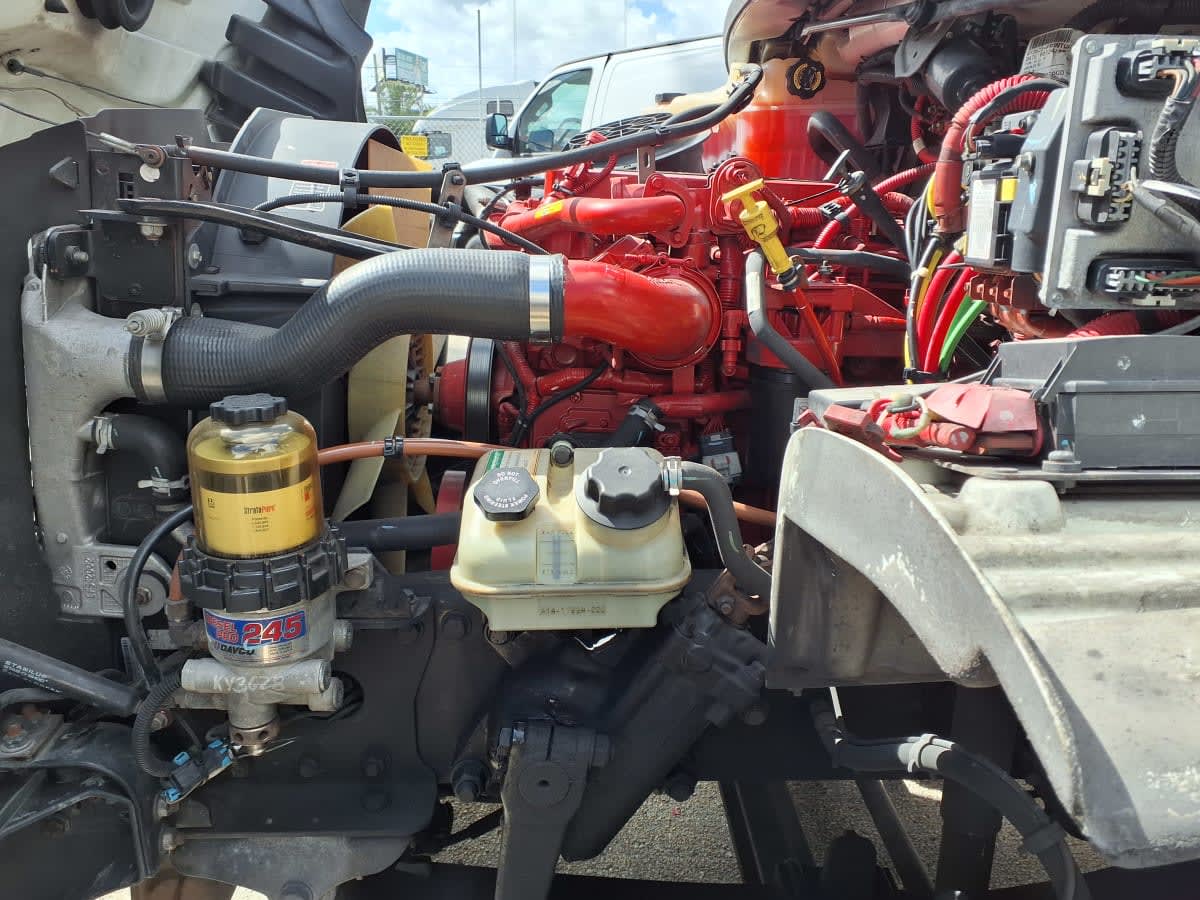 2019 Freightliner/Mercedes M2 106 871118