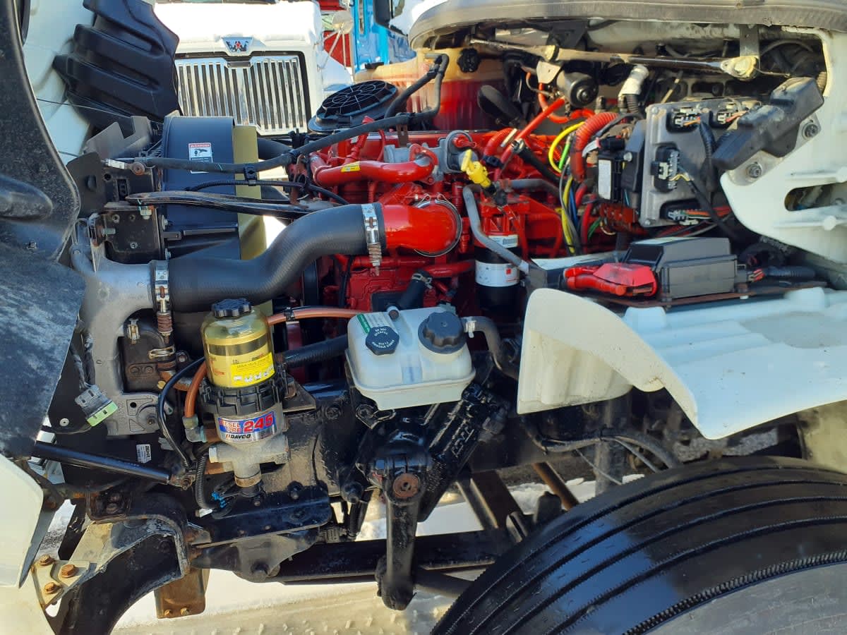 2019 Freightliner/Mercedes M2 106 871136