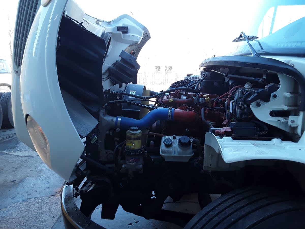 2019 Freightliner/Mercedes M2 106 871162