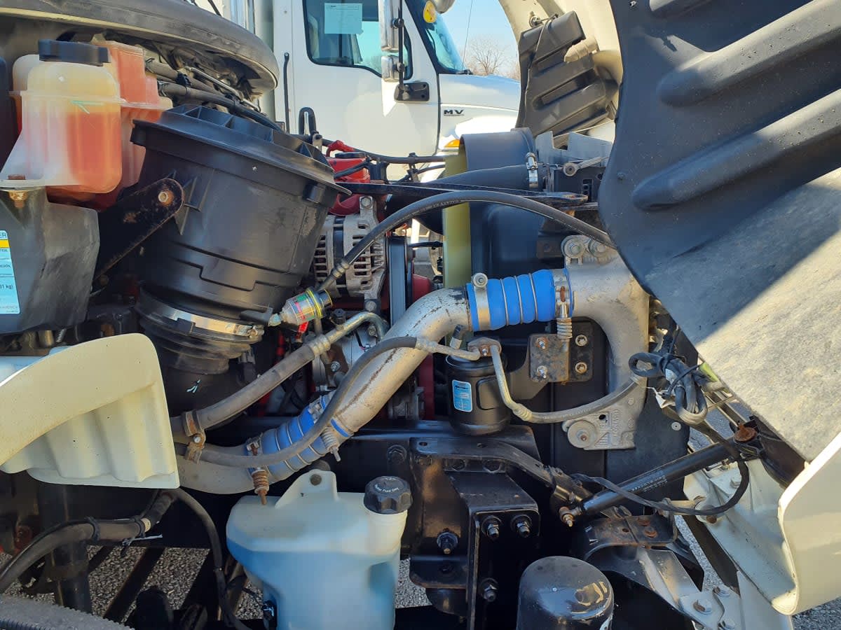 2019 Freightliner/Mercedes M2 106 871163