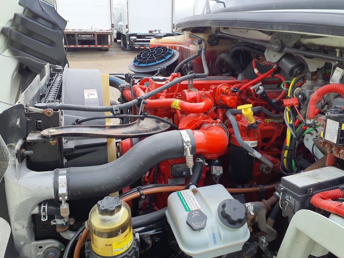 2019 Freightliner/Mercedes M2 106 871164