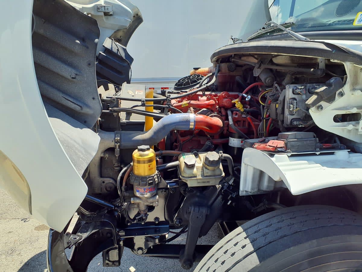 2019 Freightliner/Mercedes M2 106 871197