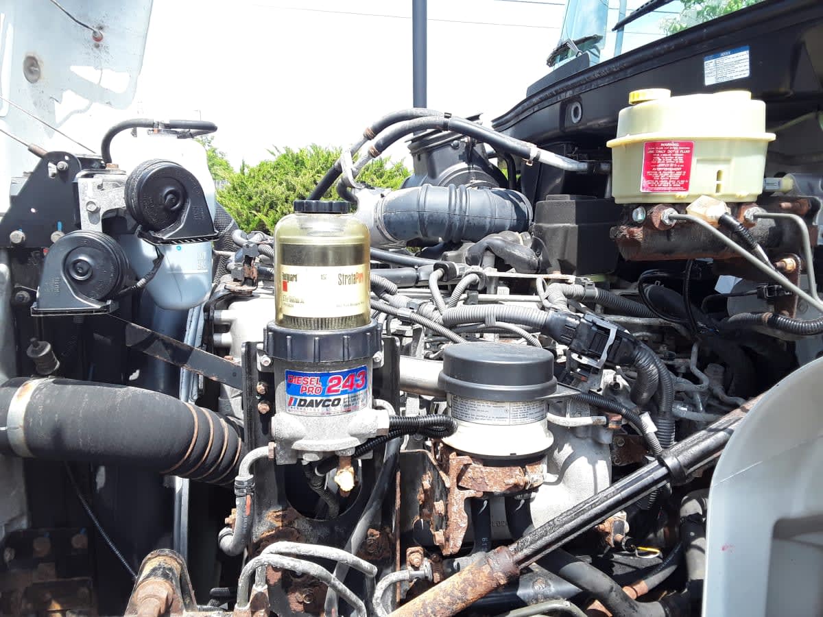 2019 Hino 338 871242