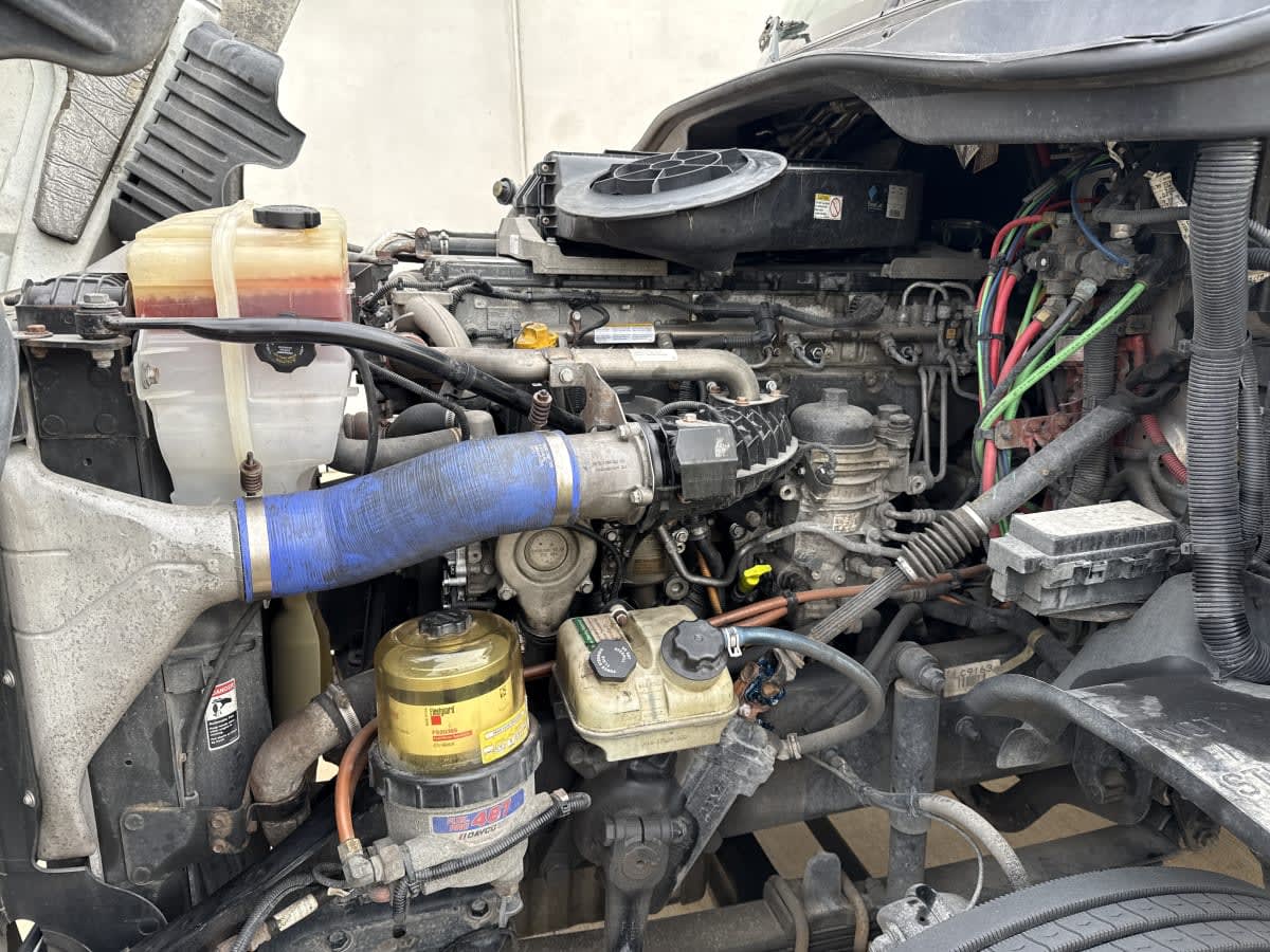 2020 Freightliner/Mercedes CASCADIA 125 871316