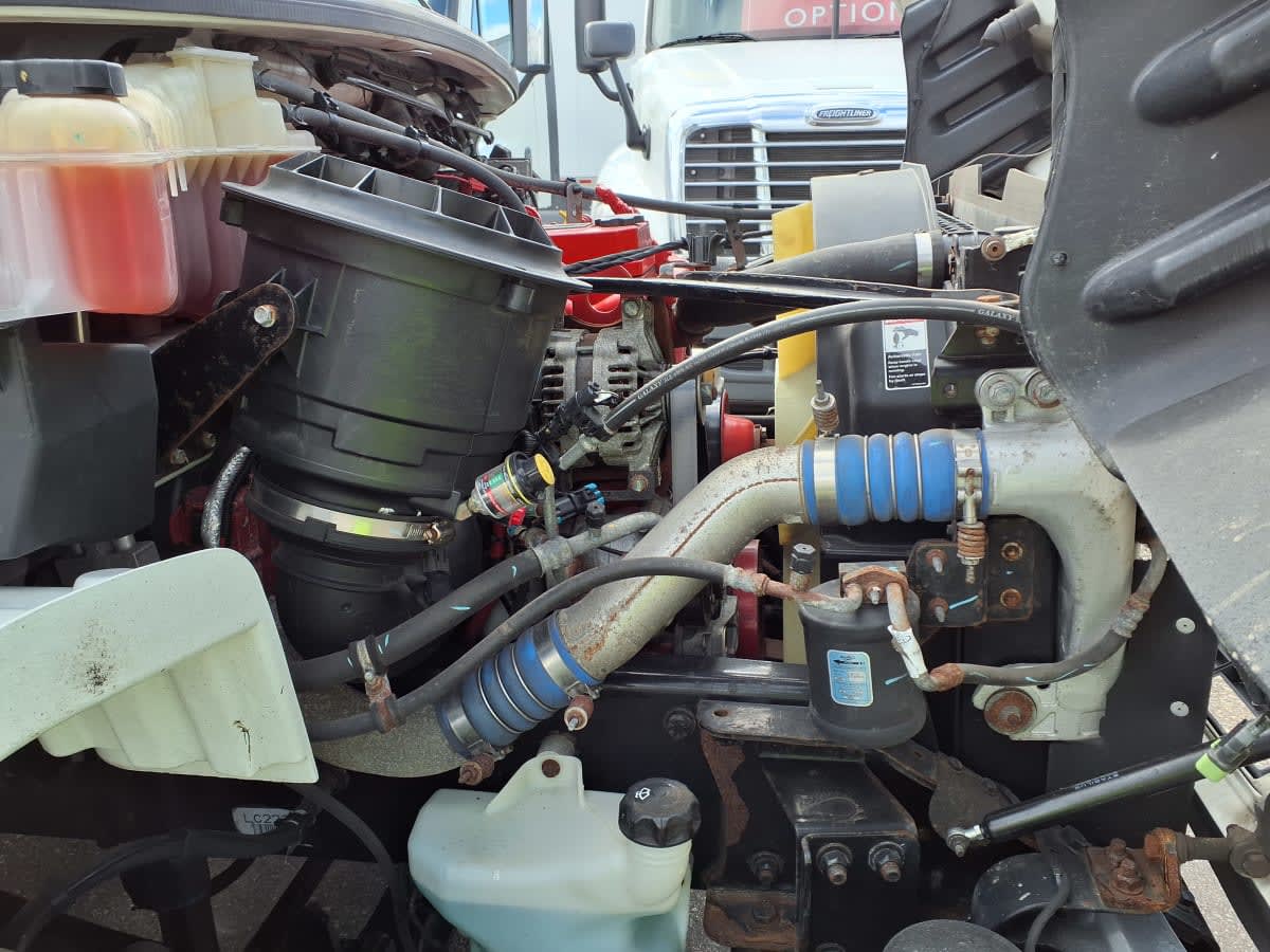 2019 Freightliner/Mercedes M2 106 871390