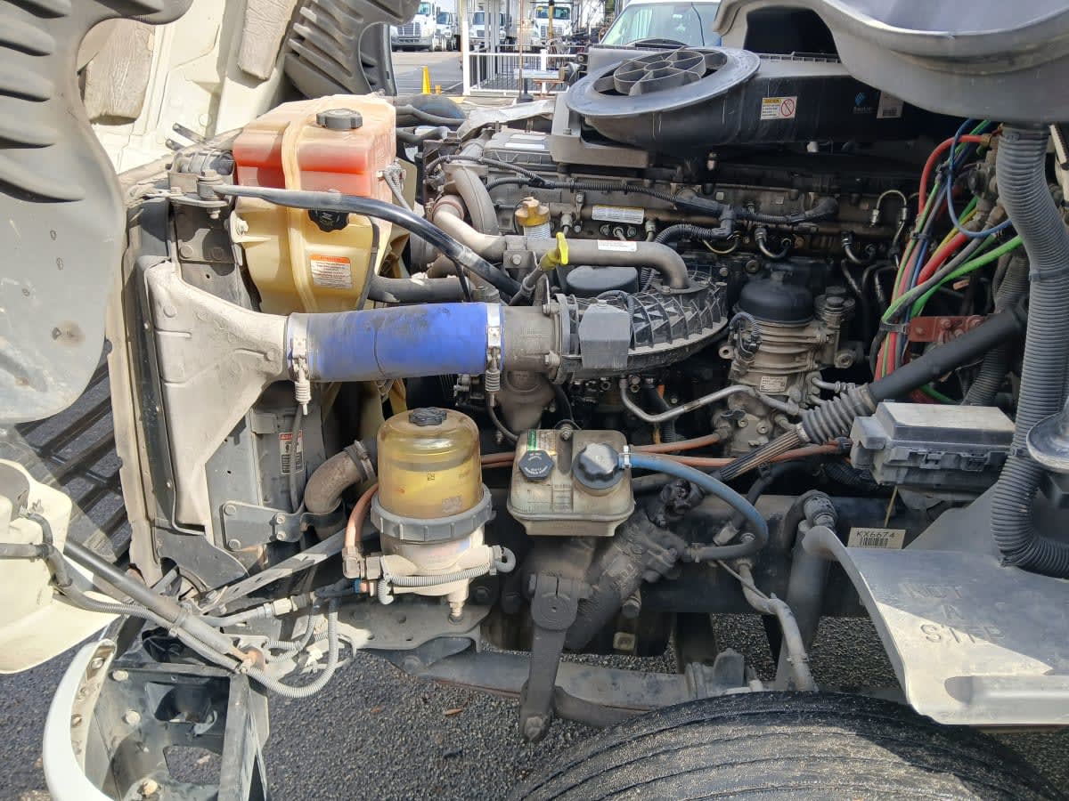 2019 Freightliner - image 8