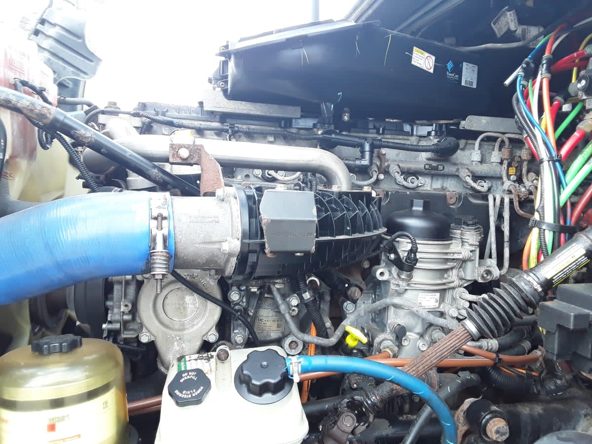 2019 Freightliner/Mercedes CASCADIA 125 873371