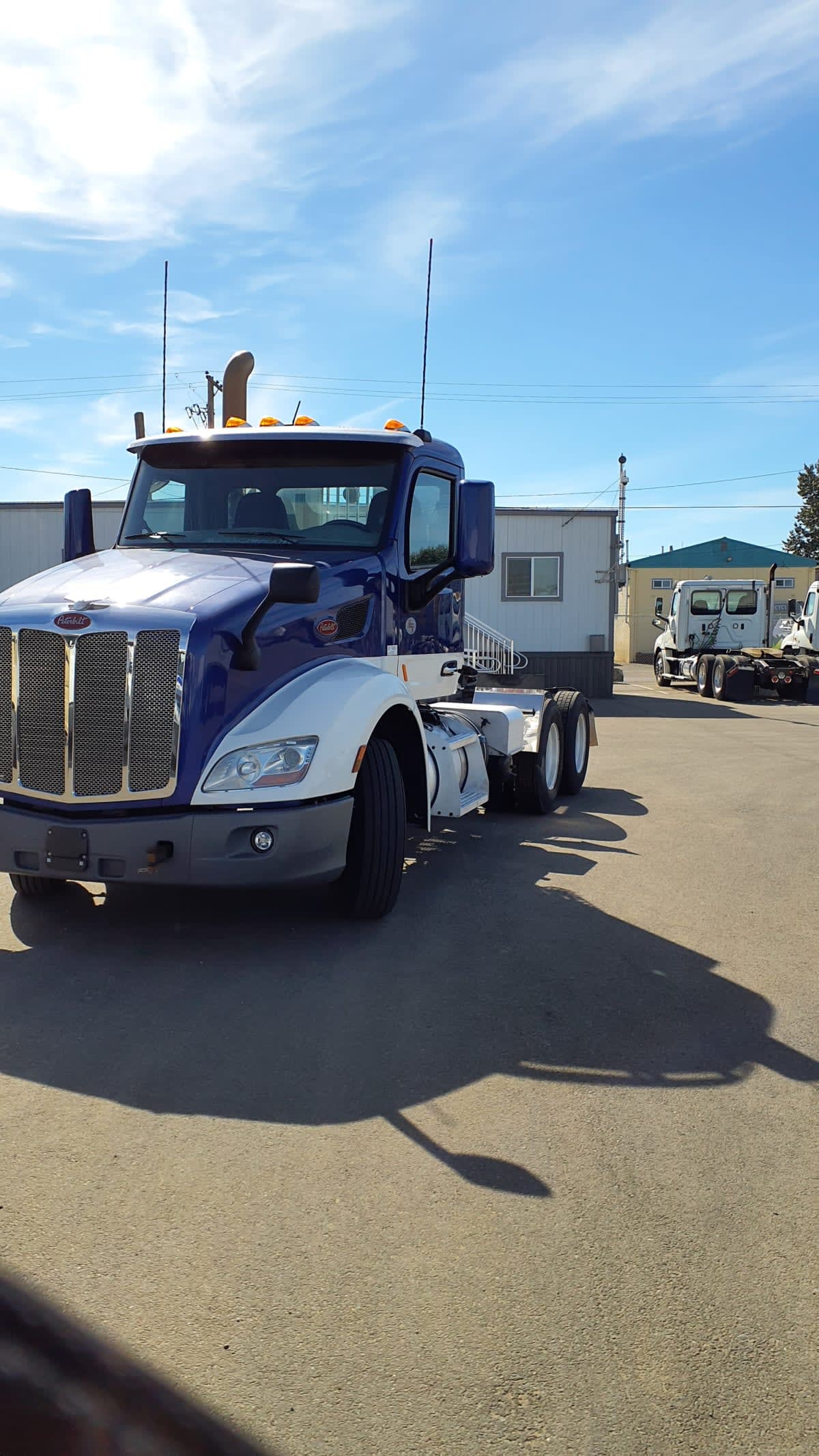 2019 PETERBILT 579 873379