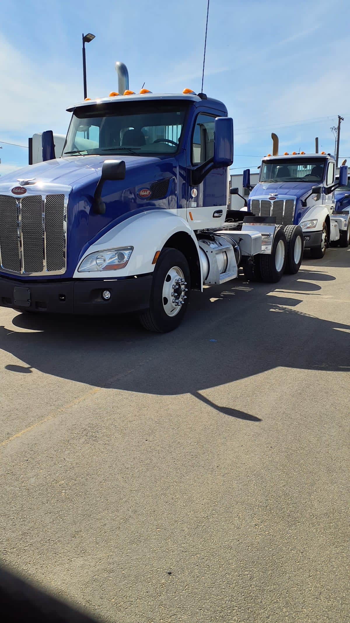2019 PETERBILT 579 873382