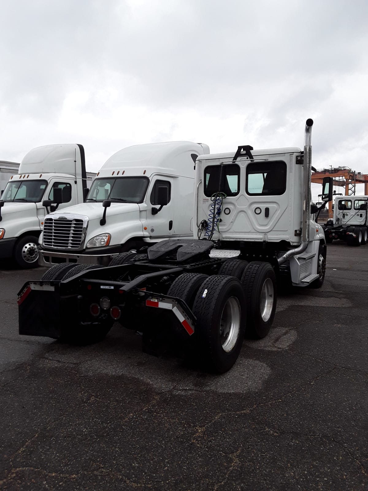 2019 Freightliner/Mercedes CASCADIA 125 873514