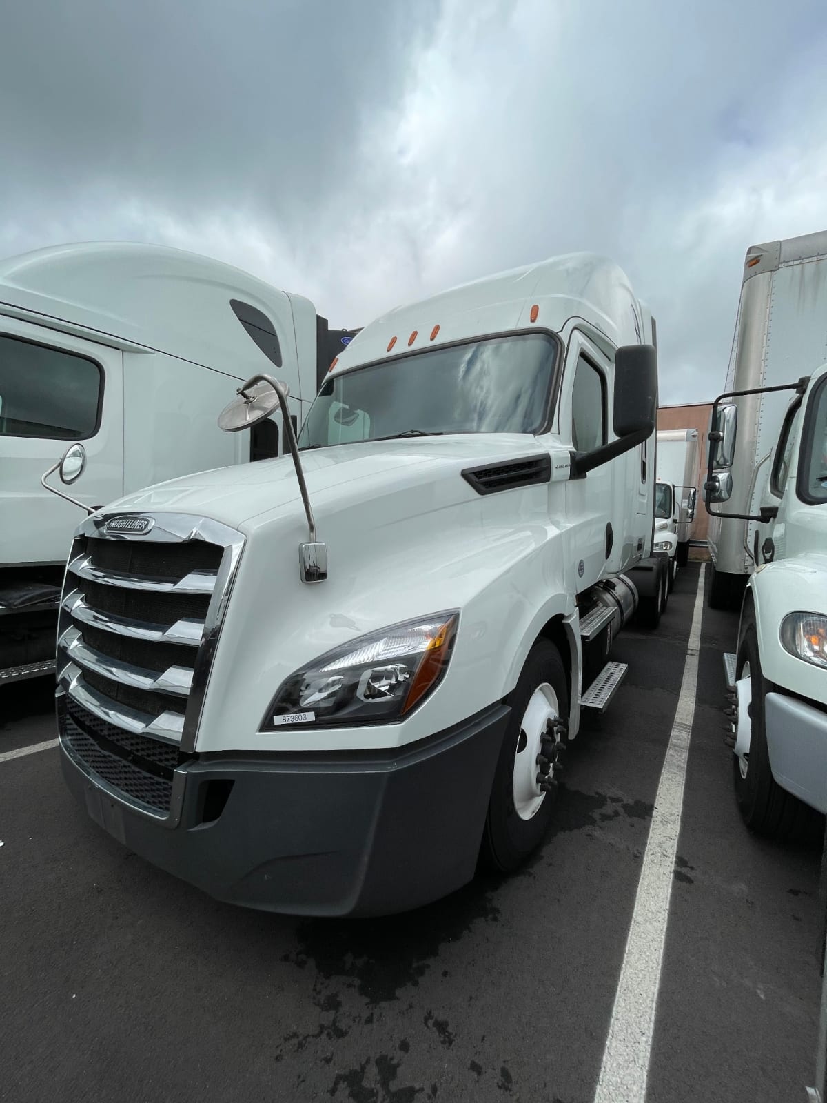 2020 Freightliner/Mercedes NEW CASCADIA PX12664 873603