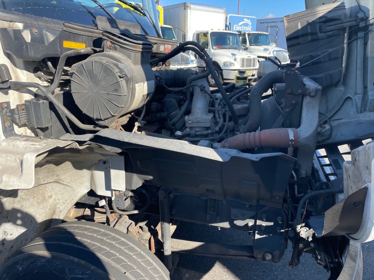 2019 Hino HINO 258ALP 873694