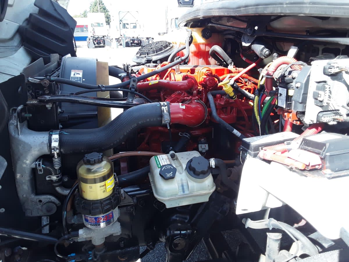 2019 Freightliner/Mercedes M2 106 873723