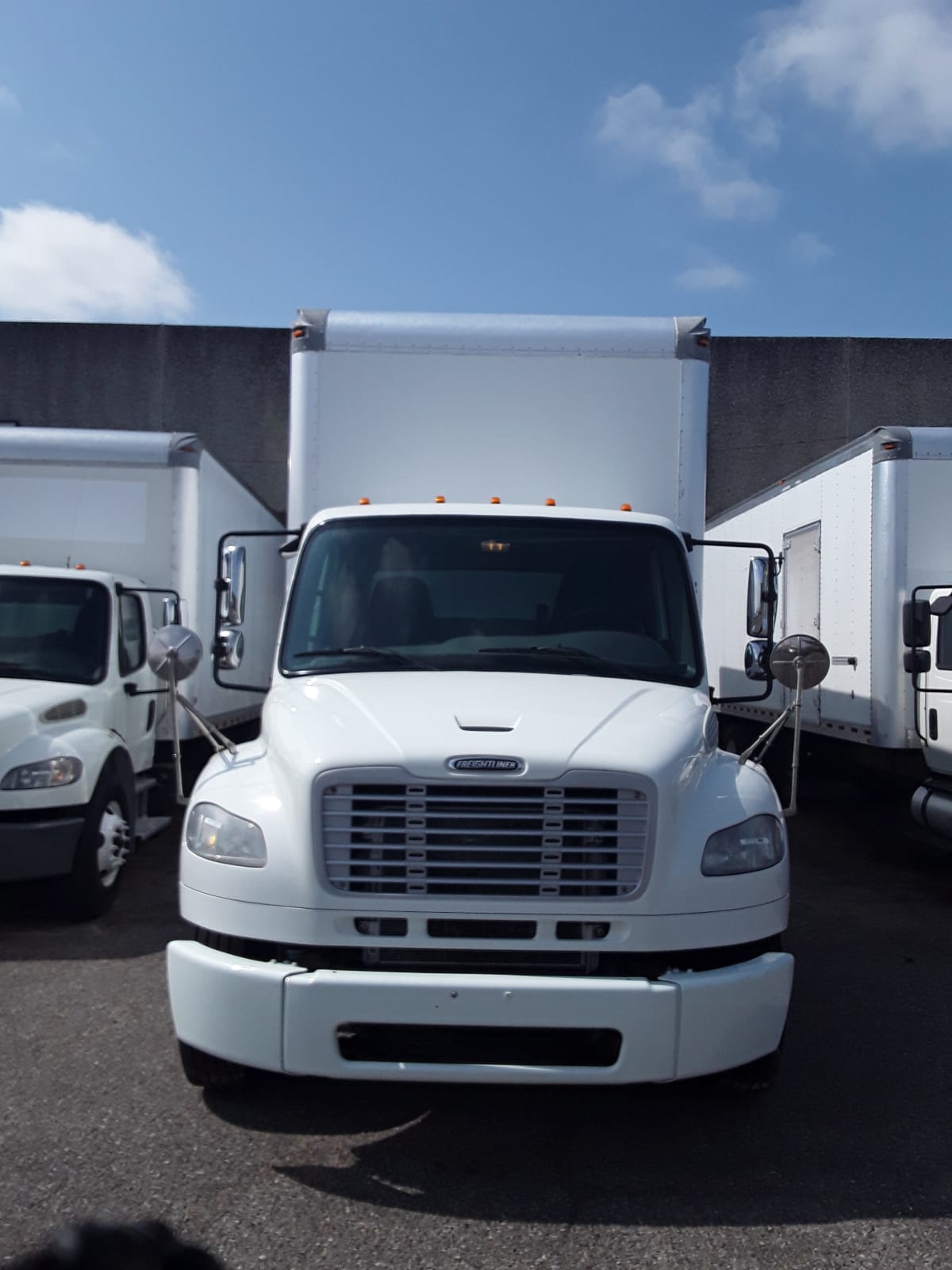 2019 Freightliner/Mercedes M2 106 873733