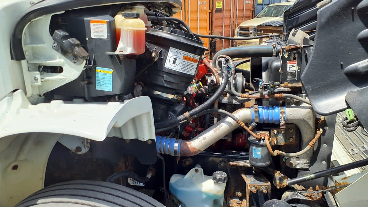 2019 Freightliner/Mercedes M2 106 873801