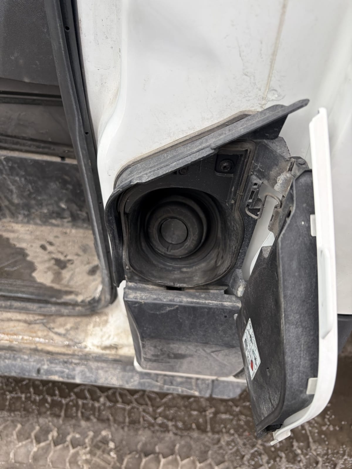 2019 Ford Motor Company TRANSIT 250 LOW ROOF 874035