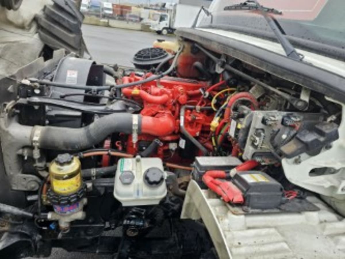 2019 Freightliner/Mercedes M2 106 874052