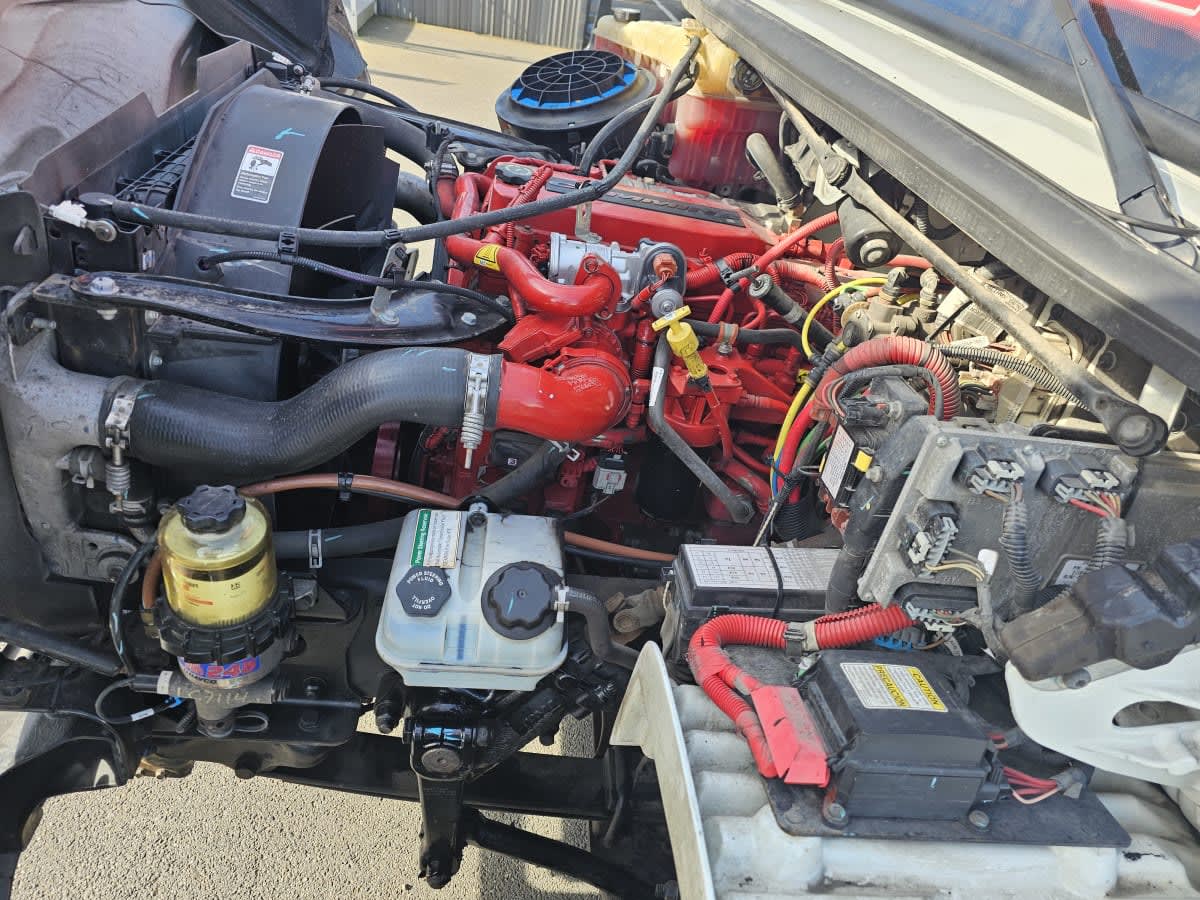 2019 Freightliner/Mercedes M2 106 874053