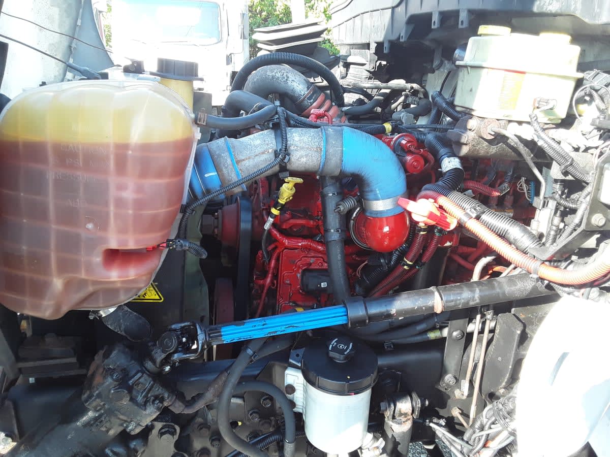 2020 Navistar International 4300LP (4X2) 874139