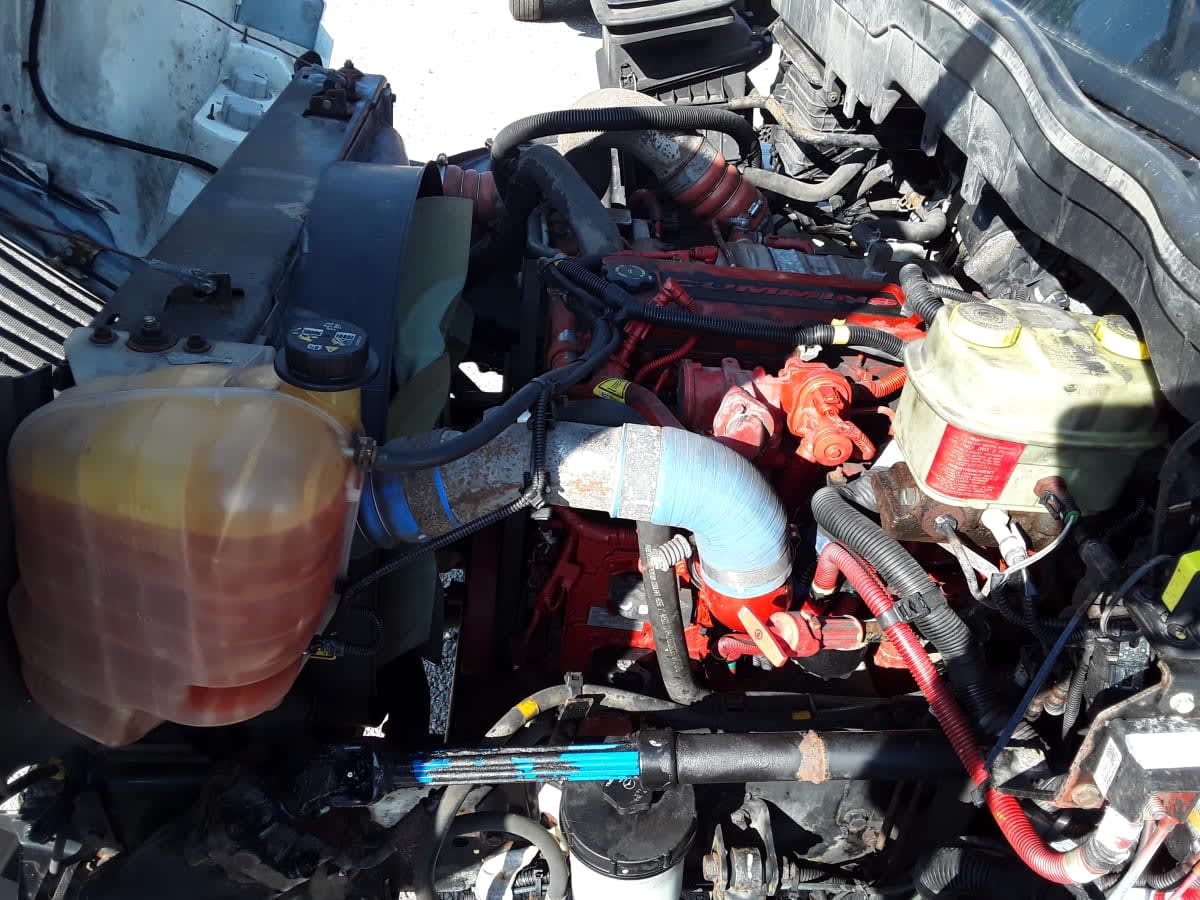 2020 Navistar International 4300LP (4X2) 874141