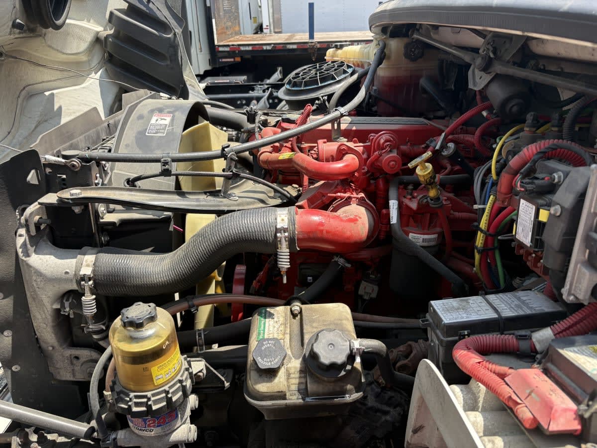 2019 Freightliner/Mercedes M2 106 874194