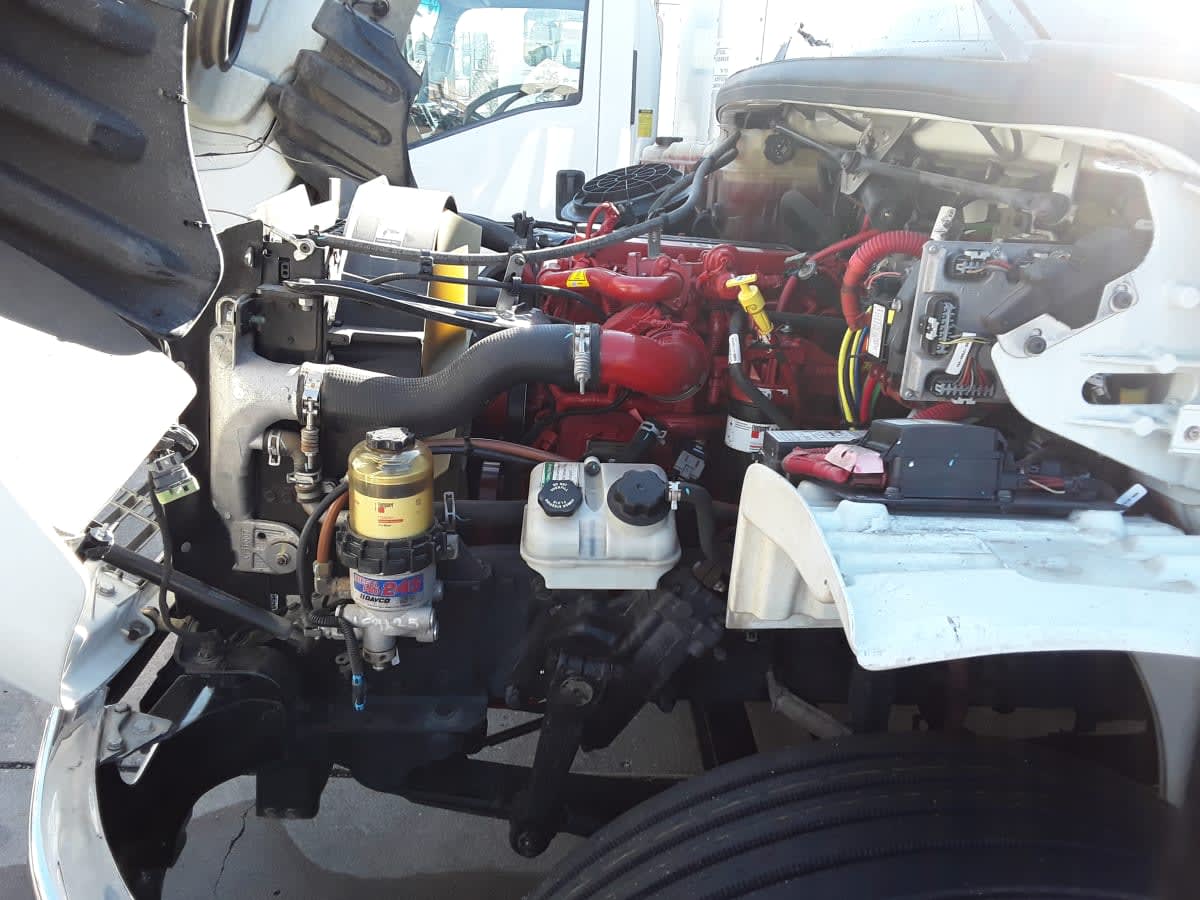 2019 Freightliner/Mercedes M2 106 874249