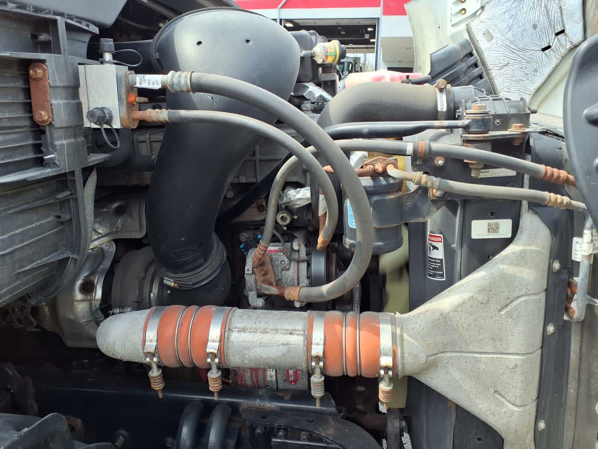 2020 Freightliner/Mercedes CASCADIA 113 874265