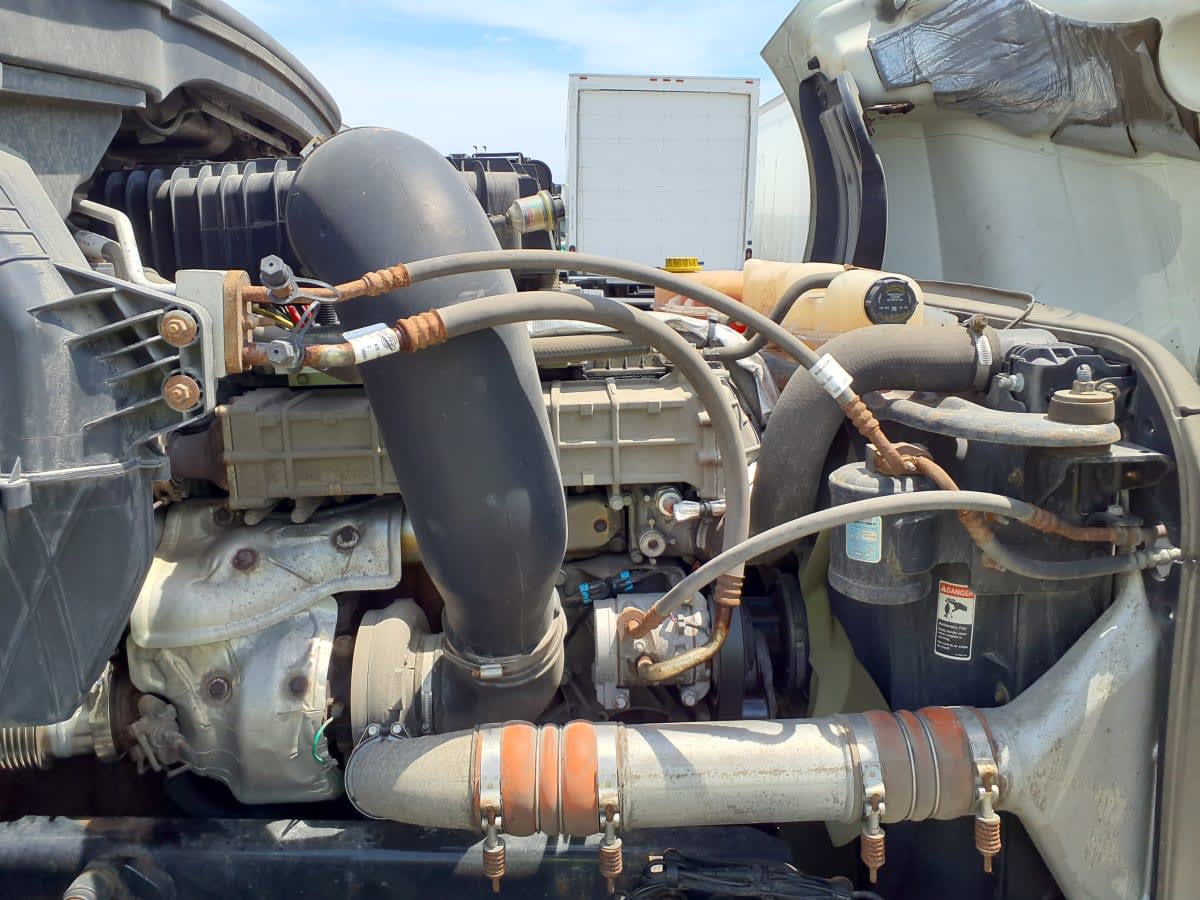 2020 Freightliner/Mercedes NEW CASCADIA PX12664 874399