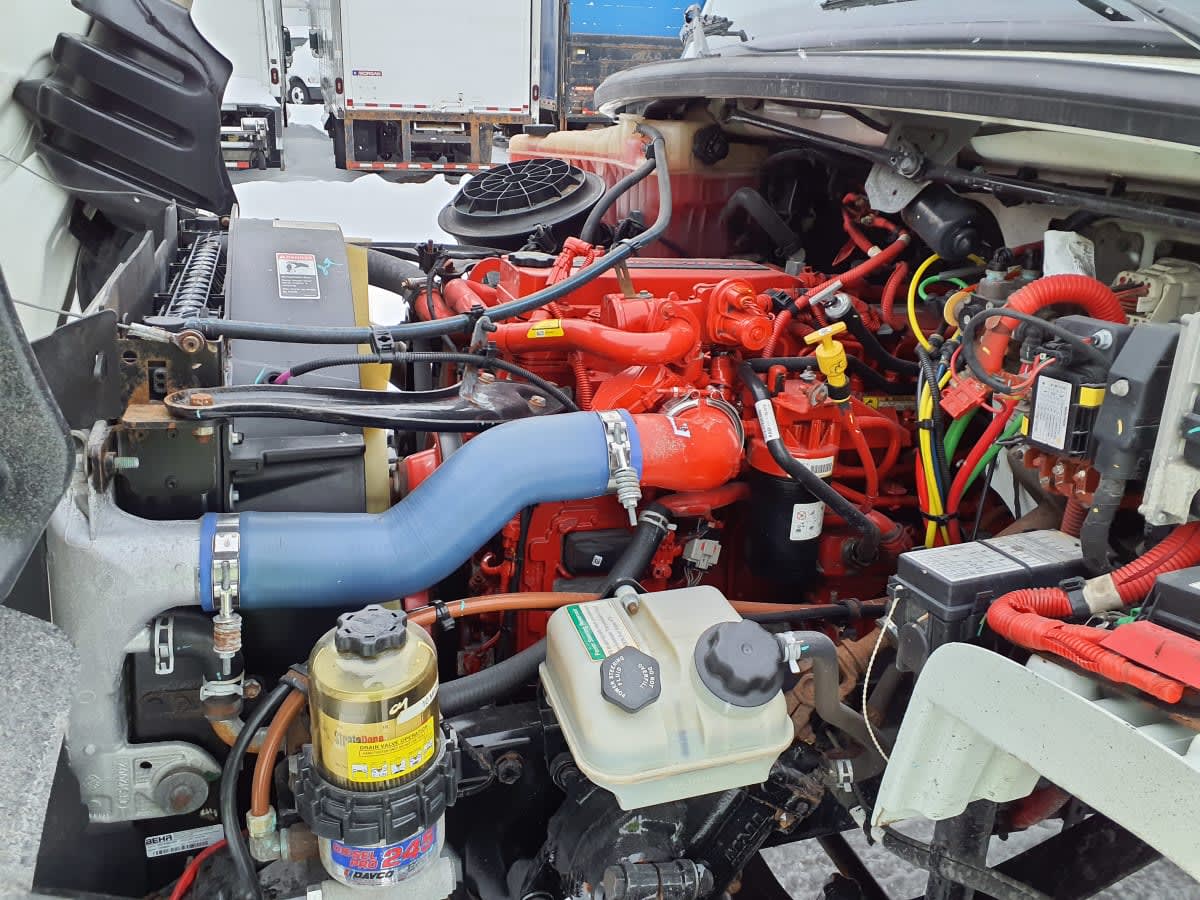 2019 Freightliner/Mercedes M2 106 874601