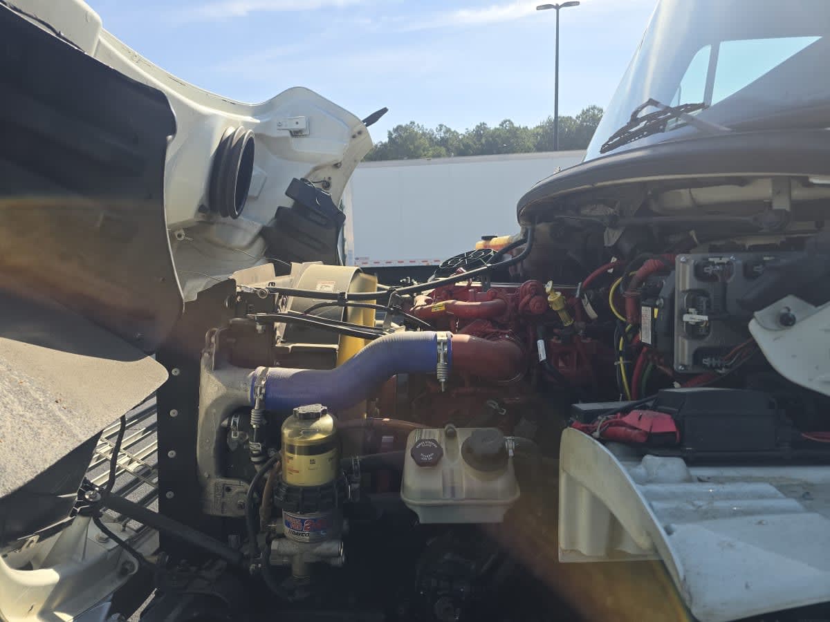 2019 Freightliner/Mercedes M2 106 874617