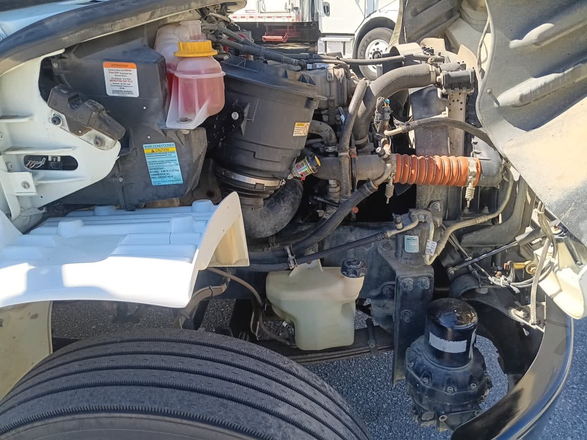 2019 Freightliner/Mercedes M2 106 874618