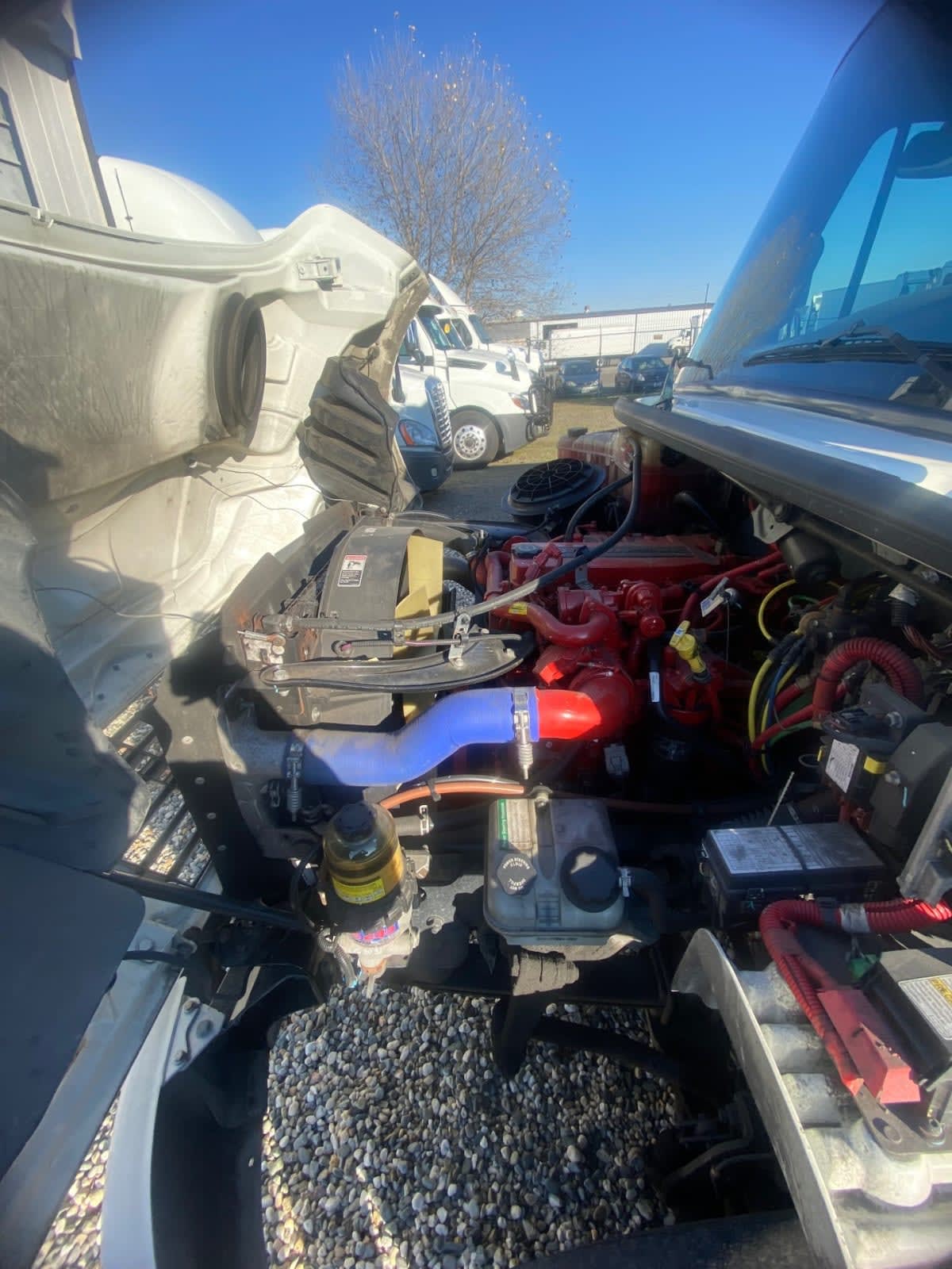 2019 Freightliner/Mercedes M2 106 874746