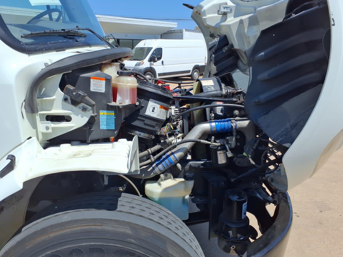 2019 Freightliner/Mercedes M2 106 875211