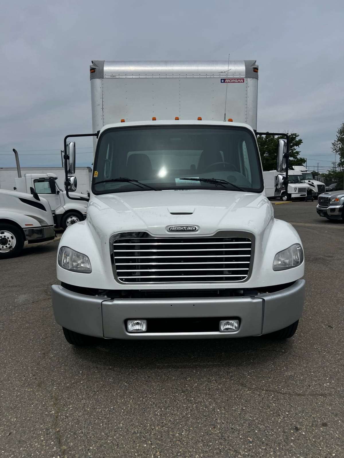 2019 Freightliner/Mercedes M2 106 875223