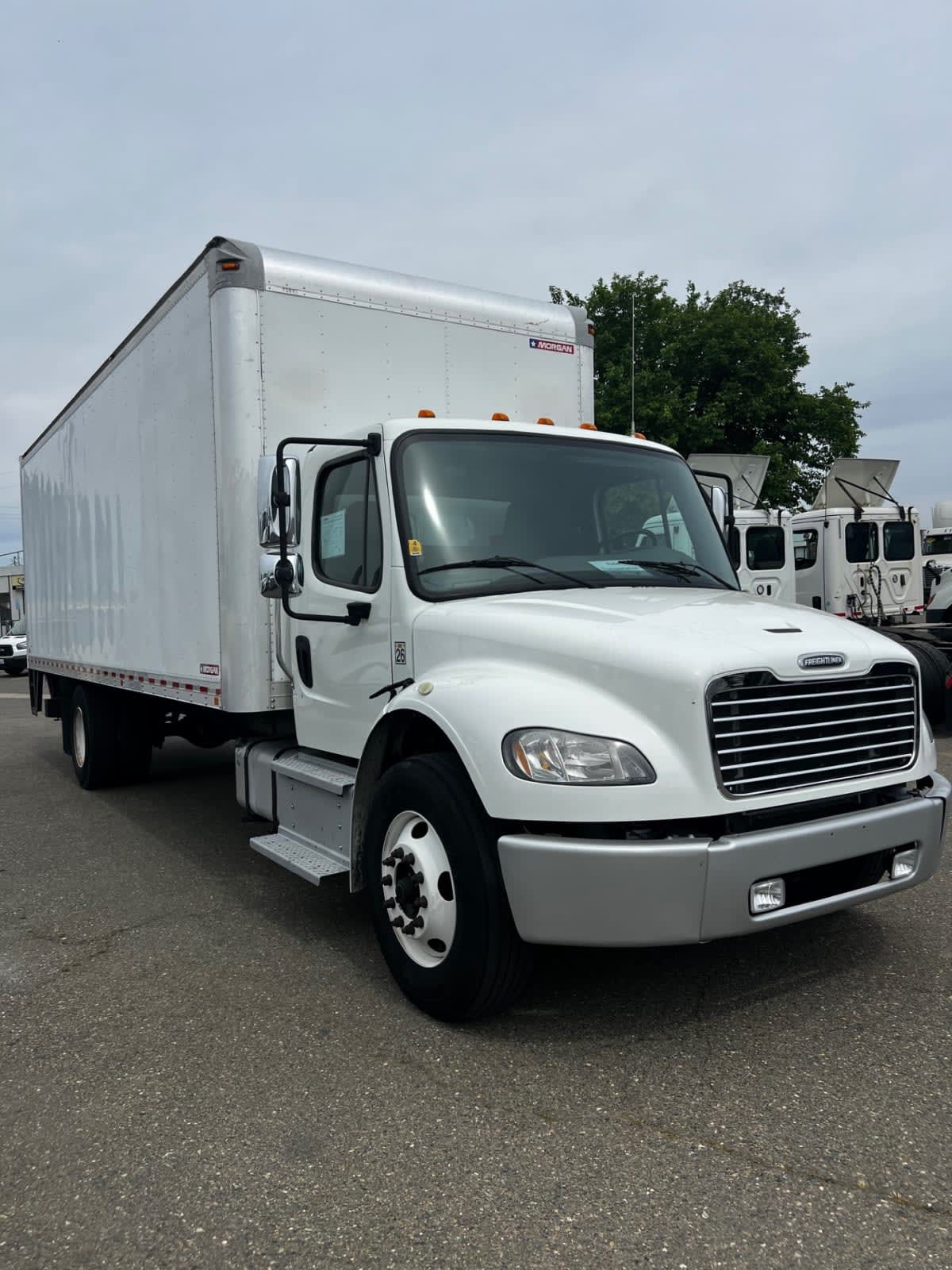 2019 Freightliner/Mercedes M2 106 875223