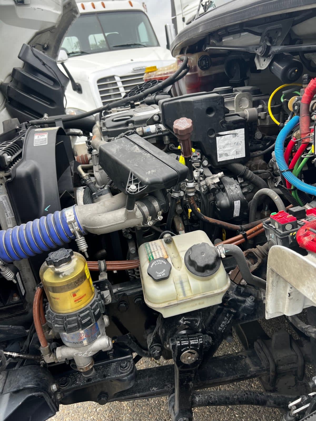 2019 Freightliner/Mercedes M2 106 875223