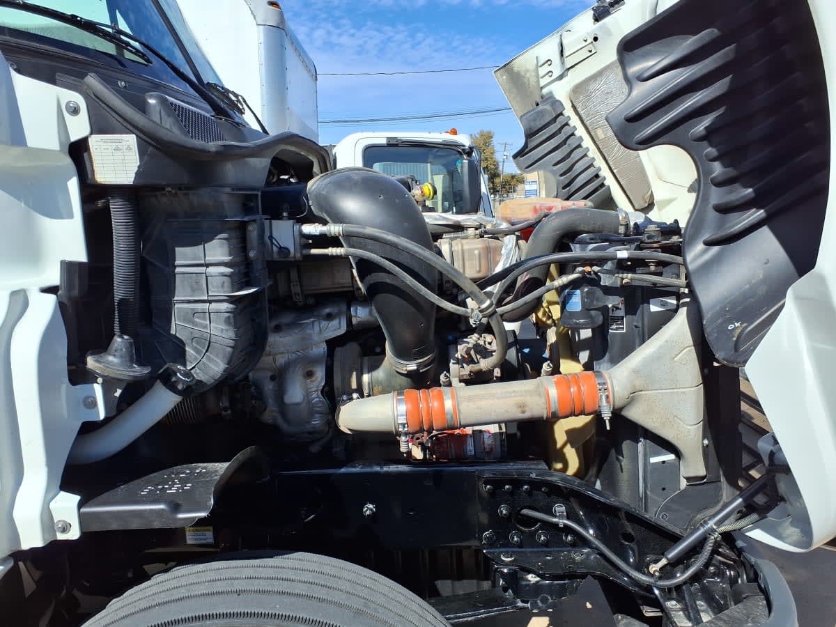 2020 Freightliner/Mercedes CASCADIA 125 875232