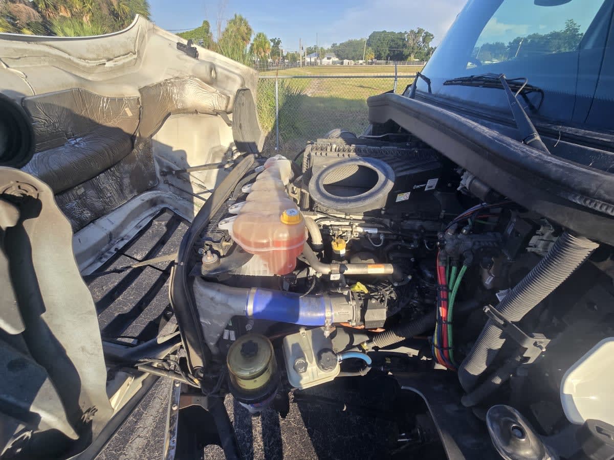 2020 Freightliner Cascadia in Tampa, FL — photo 8