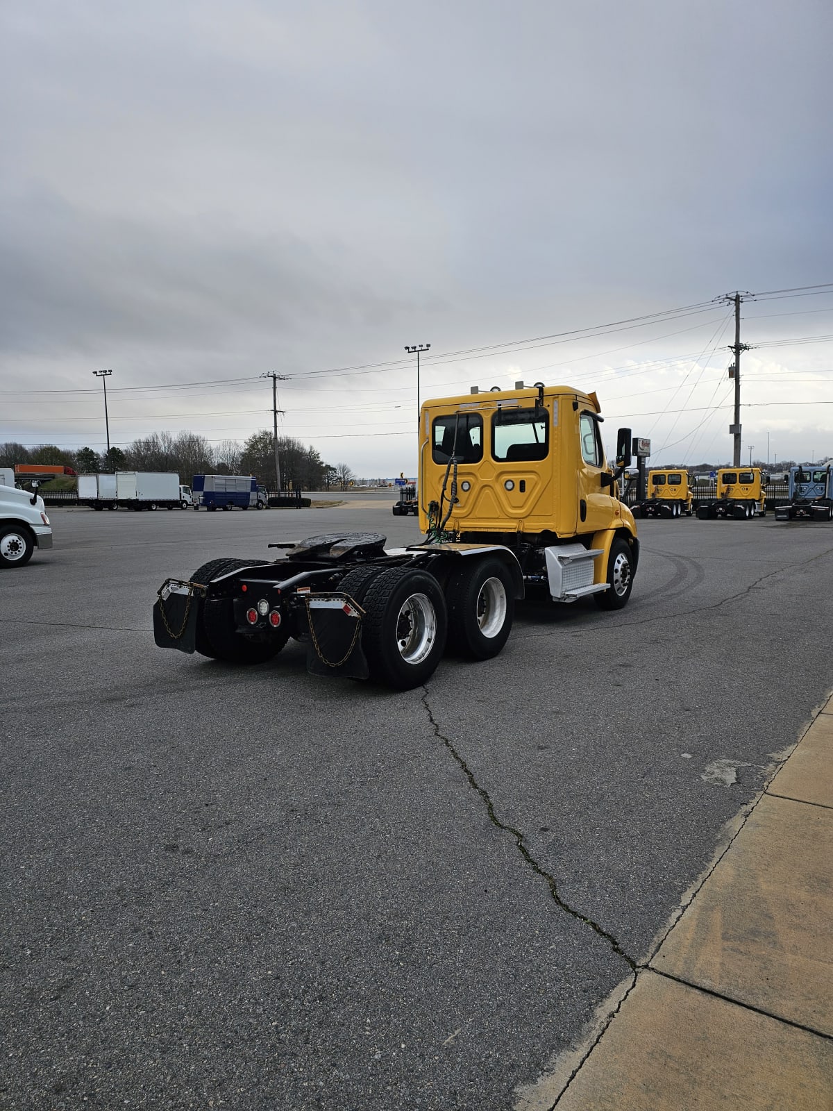 2019 Freightliner/Mercedes CASCADIA 113 875273