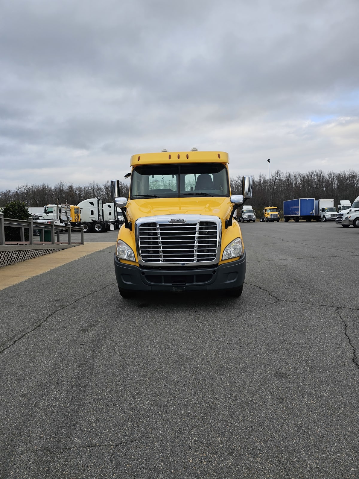 2019 Freightliner/Mercedes CASCADIA 113 875273