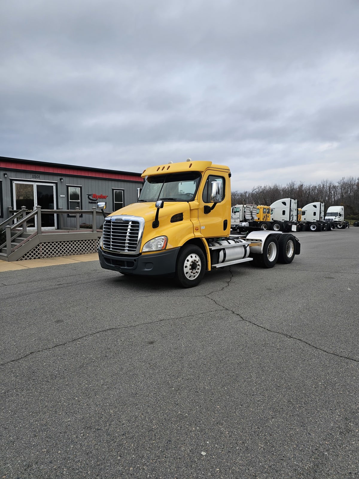 2019 Freightliner/Mercedes CASCADIA 113 875273