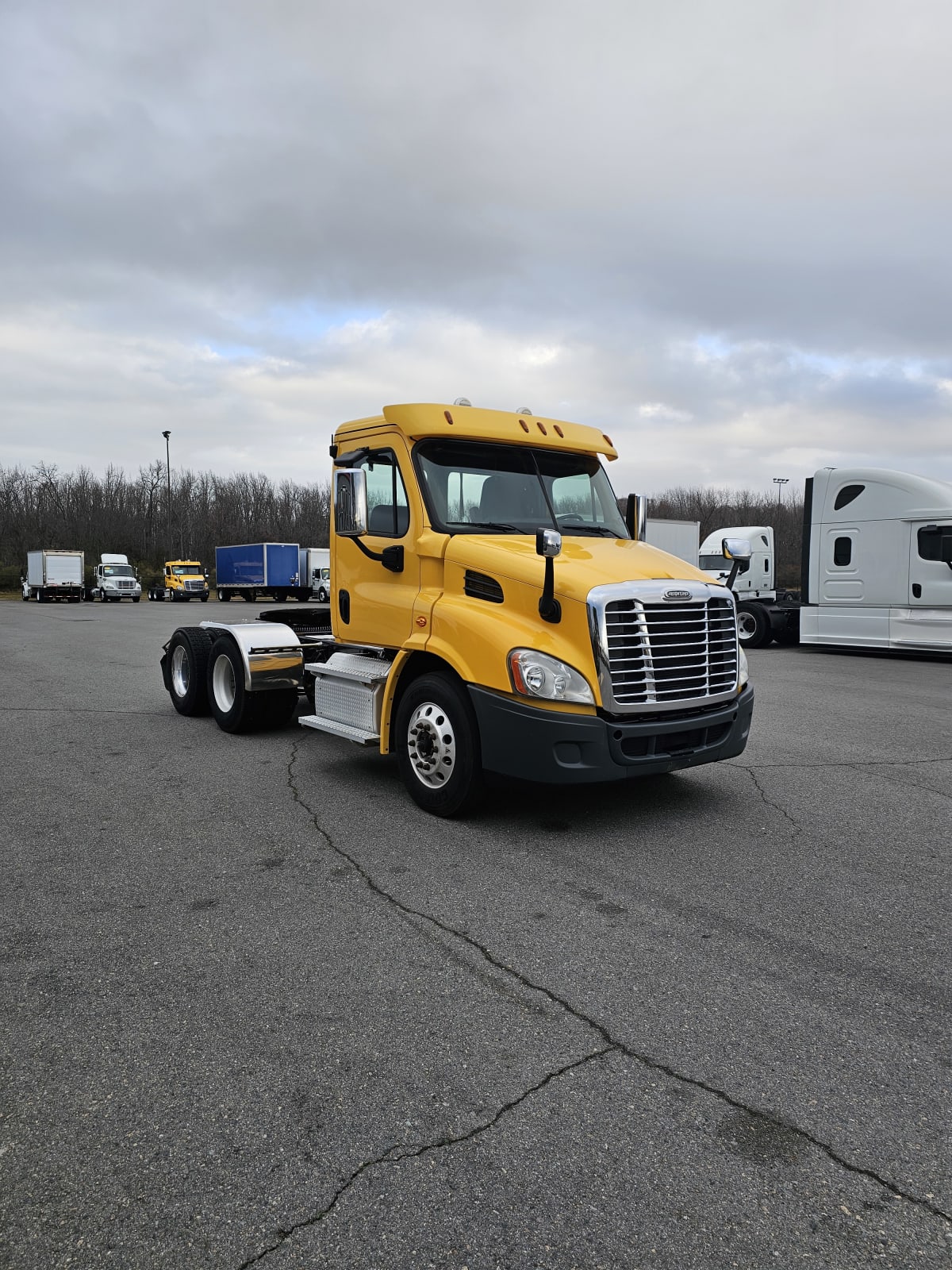 2019 Freightliner/Mercedes CASCADIA 113 875273