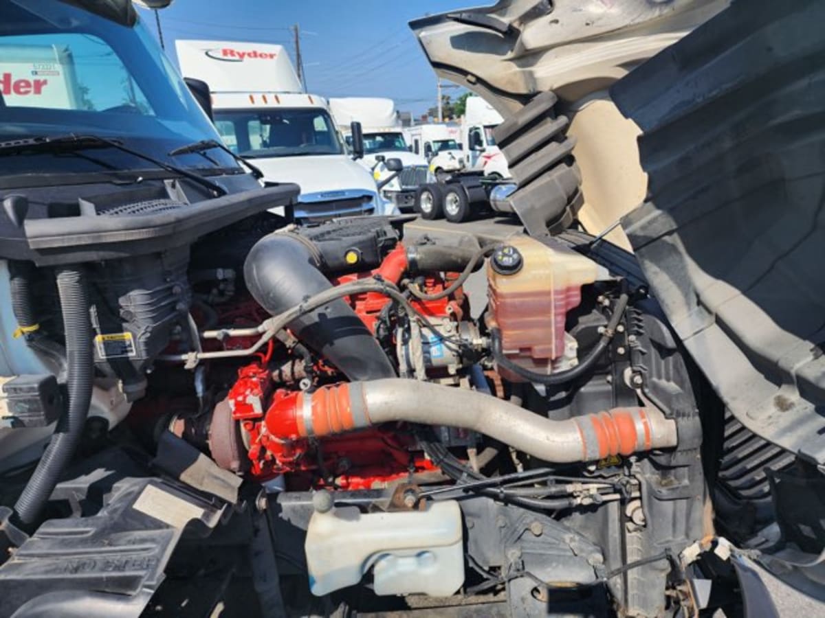 2019 International - image 11